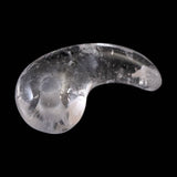 チベット カイラス産 ヒマラヤ水晶 26mm勾玉 4.2g (ID:27333)