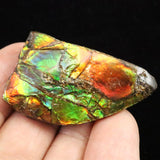 アンモライト アンモナイト化石　スライス　原石　11.7ｇ (ID:28322)