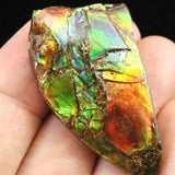 アンモライト アンモナイト化石　スライス　原石　11.7ｇ (ID:28322)