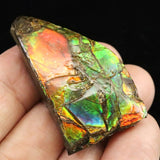 アンモライト アンモナイト化石　スライス　原石　11.7ｇ (ID:28322)