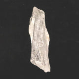 レムリアンルーツクォーツ ピュアレイ 原石 51.5g (ID:29056)