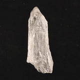 レムリアンルーツクォーツ ピュアレイ 原石 51.5g (ID:29056)