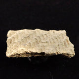 縄文土器 縄文中期 東北・北海道地域  44mm陶片  12.5g  (ID:30477)