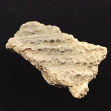 縄文土器 縄文中期 東北・北海道地域  44mm陶片  12.5g  (ID:30477)