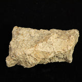 縄文土器 縄文中期 東北・北海道地域  44mm陶片  12.5g  (ID:30477)