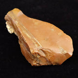 北海道幌加内町　ペトリファイドウッド 珪化木  68mm原石 45.3g  (ID:31275)