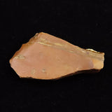 北海道幌加内町　ペトリファイドウッド 珪化木  68mm原石 45.3g  (ID:31275)