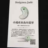 糸魚川翡翠 小滝産 薄緑 9.8mm玉ビーズ 現品 ディレクトリカード付 7.1ct (ID:31604)