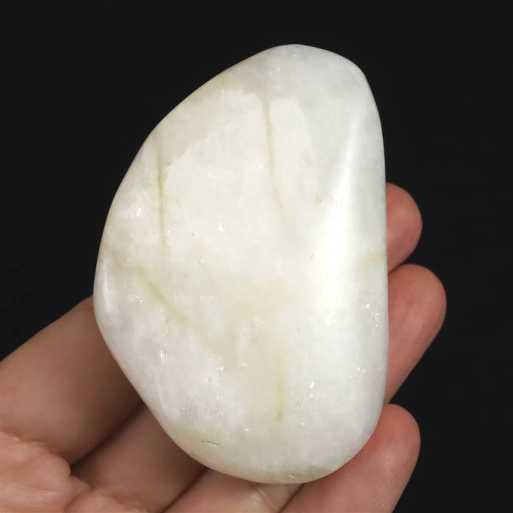 ナトロライト | 榎本通商