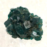 コンゴ産 ダイオプテーズ AA 翠銅鉱　原石 10.3g (ID:32371)