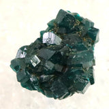 コンゴ産 ダイオプテーズ AA 翠銅鉱　原石 10.3g (ID:32371)