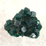 コンゴ産 ダイオプテーズ AA 翠銅鉱　原石 10.3g (ID:32371)