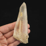 高千穂天岩戸水晶 AAA 110mm原石 ドルフィン レコードキーパー セルフヒールド ディレクトリーカード付 103.3g (ID:33775)