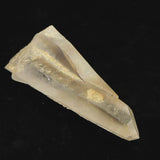 高千穂天岩戸水晶 AAA 110mm原石 ドルフィン レコードキーパー セルフヒールド ディレクトリーカード付 103.3g (ID:33775)