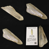 高千穂天岩戸水晶 AAA 110mm原石 ドルフィン レコードキーパー セルフヒールド ディレクトリーカード付 103.3g (ID:33775)