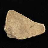 縄文土器 縄文中期 東北・北海道地域  76mm陶片  32.9g  (ID:34359)