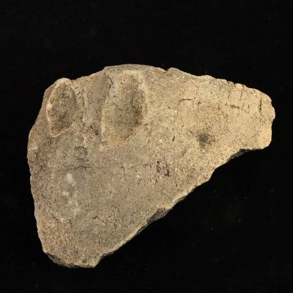 縄文土器 縄文中期 東北・北海道地域  76mm陶片  32.9g  (ID:34359)