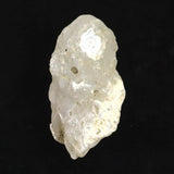 島根県大津島産　指状玉髄　カルセドニー 44mm原石 26.5g (ID:34678)
