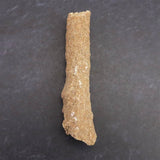 H&E社　サハラ砂漠産　フルグライト　　5.7g (ID:34884)