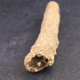 H&E社　サハラ砂漠産　フルグライト　　5.7g (ID:34884)
