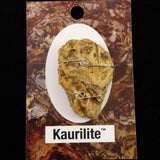 H&E社　カウリライト(AZOZEO)　ペンダントトップ　6.2g (ID:35214)