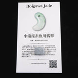 糸魚川翡翠 小滝入コン沢　青 12mmタンブル　ディレクトリカード付 2.0g (ID:35597)