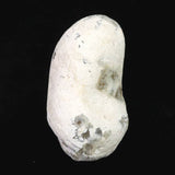 島根県大津島産　指状玉髄　カルセドニー 64mm原石 101g (ID:35852)