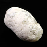 島根県大津島産　指状玉髄　カルセドニー 64mm原石 101g (ID:35852)