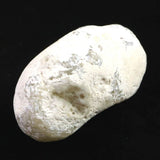 島根県大津島産　指状玉髄　カルセドニー 64mm原石 101g (ID:35852)