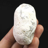 島根県大津島産　指状玉髄　カルセドニー 64mm原石 101g (ID:35852)