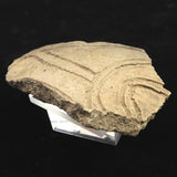 縄文土器 縄文中期 東北・北海道地域  99mm陶片   77.0g  (ID:36219)