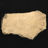 縄文土器 縄文中期 東北・北海道地域  99mm陶片   77.0g  (ID:36219)