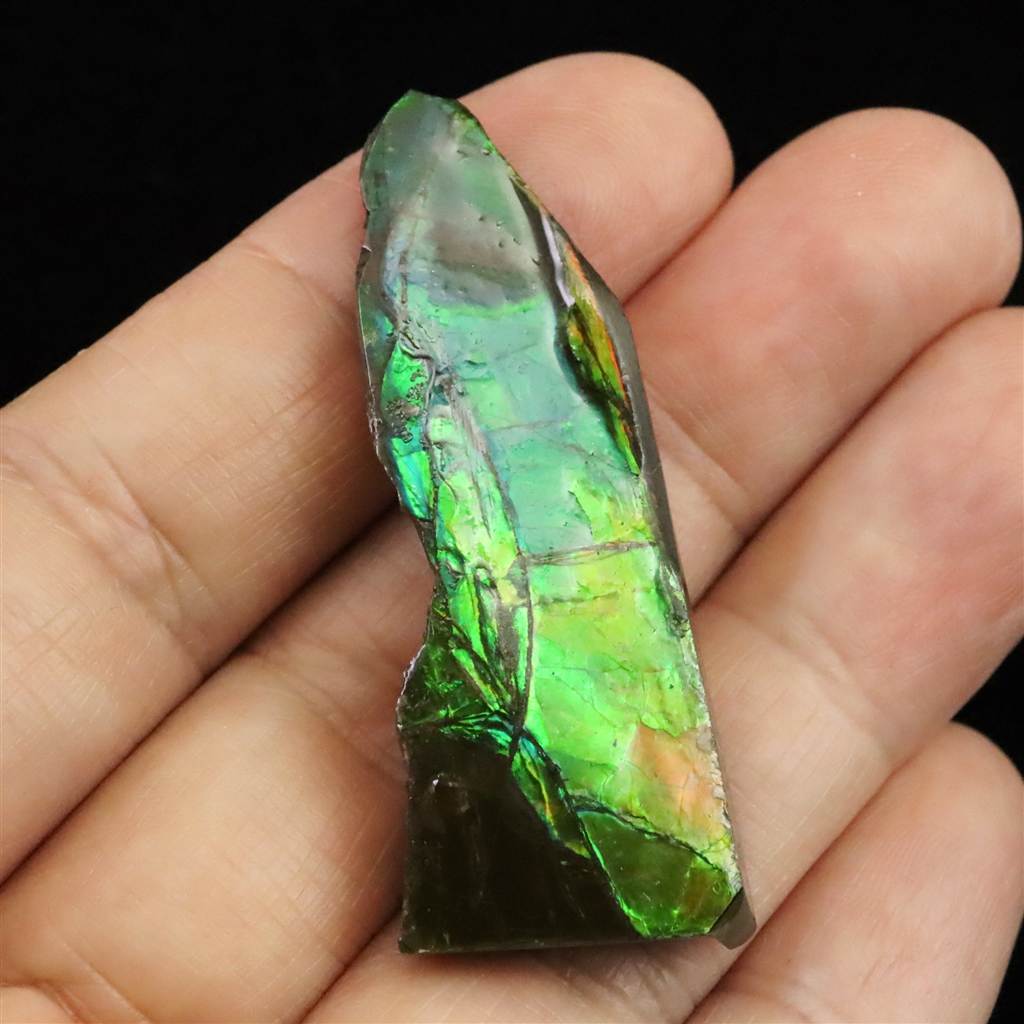 アンモライト・アンモナイトアクセサリー | 榎本通商