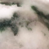 ミャンマー産 グリーン翡翠 ヒスイ 56mm小皿 38.3g (ID:37153)