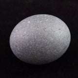 北海道檜山郡江差町産 泥岩 53mm 原石 132.4g (ID:38554)