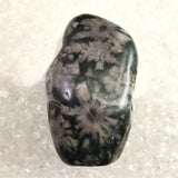 岐阜県根尾谷産 菊花石 101.2g (ID:39050)