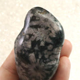 岐阜県根尾谷産 菊花石 101.2g (ID:39050)