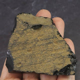 隠岐の島 黒曜石 原石  ディレクトリーカード付 65.3g (ID:40192)