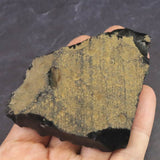 隠岐の島 黒曜石 原石  ディレクトリーカード付 65.3g (ID:40192)