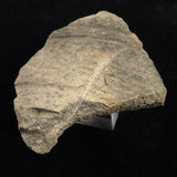 縄文土器 縄文中期 東北・北海道地域  64mm陶片  43.0g  (ID:40500)