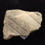 縄文土器 縄文中期 東北・北海道地域  64mm陶片  43.0g  (ID:40500)