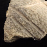 縄文土器 縄文中期 東北・北海道地域  64mm陶片  43.0g  (ID:40500)