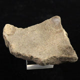 縄文土器 縄文中期 東北・北海道地域  64mm陶片  43.0g  (ID:40500)