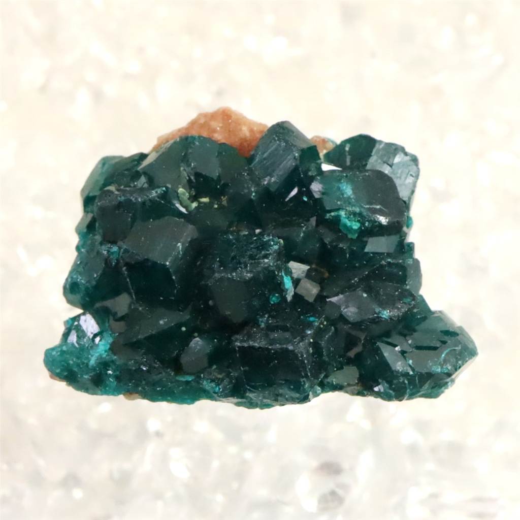 コンゴ産 ダイオプテーズ AA 翠銅鉱 原石 10.4g (ID:42286) | 榎本通商