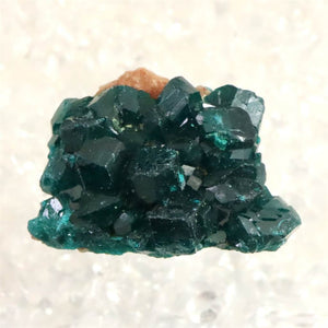 コンゴ産 ダイオプテーズ AA 翠銅鉱 原石 10.4g (ID:42286) | 榎本通商