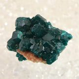 コンゴ産 ダイオプテーズ AA 翠銅鉱　原石 10.4g (ID:42286)