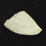 磨製石器  43mm  後期旧石器時代 東北・北海道地域 18.5g (ID:42709)