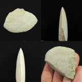 磨製石器  43mm  後期旧石器時代 東北・北海道地域 18.5g (ID:42709)