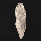 レムリアンルーツクォーツ ピュアレイ 原石 50.0g (ID:42844)