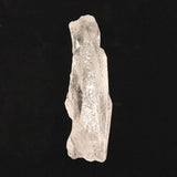 レムリアンルーツクォーツ ピュアレイ 原石 50.0g (ID:42844)